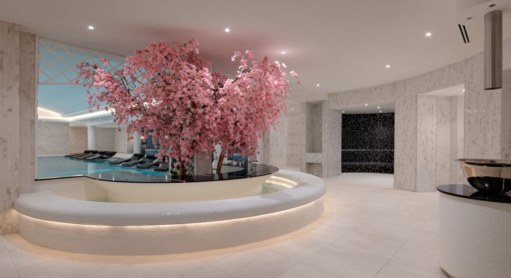 Exploring the Best Luxury Spas in London: Photos and Menus