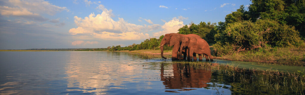Exploring The Kruger National Park: A Cultural and Natural Heritage Exploring The Kruger National Park: A Cultural and Natural Heritage