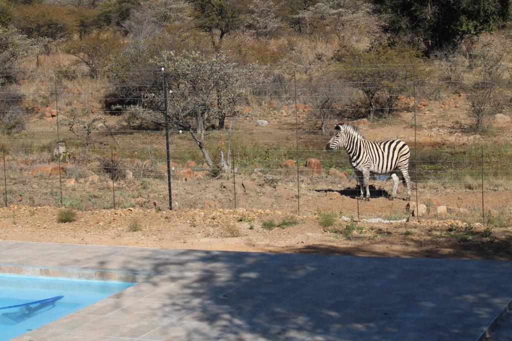 Luxury Safari Pricing at Sharon Lodge