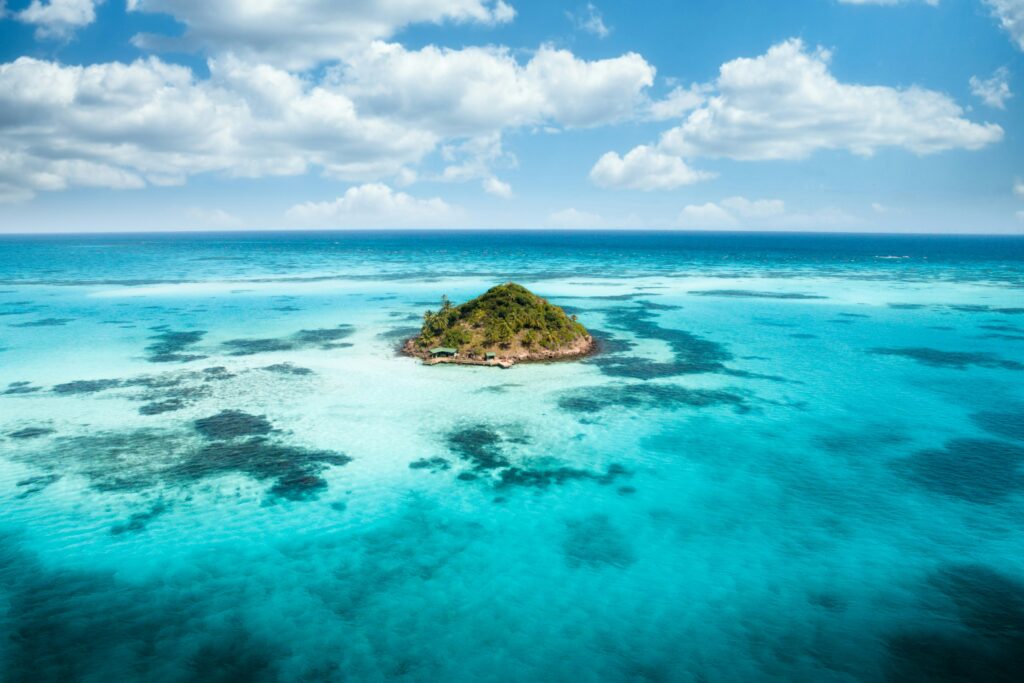 The Perfect Paradise Review
